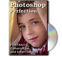 Photoshop Perfection - Emergency Retouching Basics Class