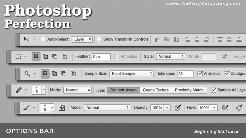 Photoshop Tutorial - Options Bar